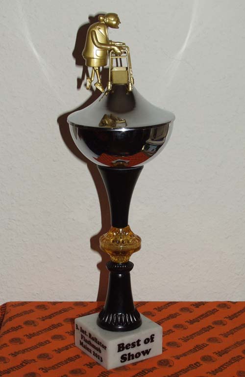Pokal